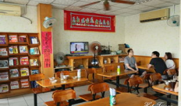 麻豆人的,揭秘虚拟偶像的崛起与影响